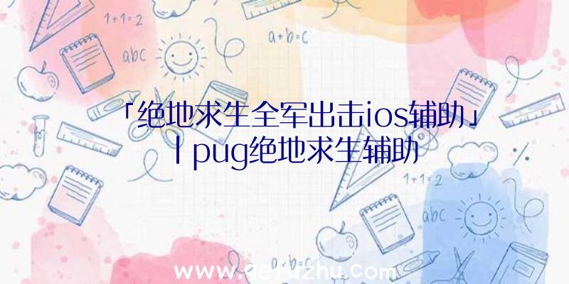 「绝地求生全军出击ios辅助」|pug绝地求生辅助